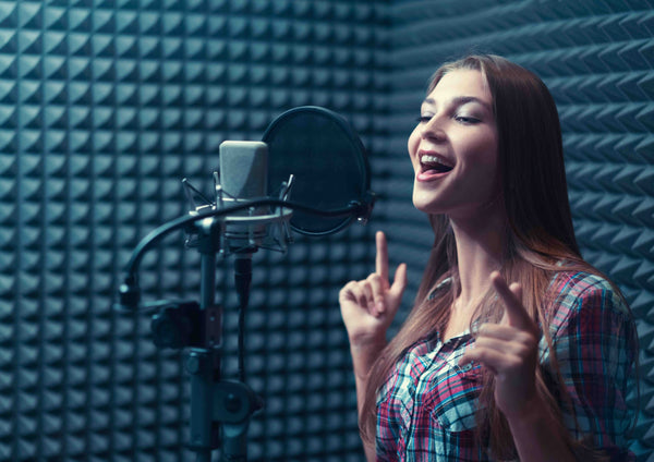Boxie Singer Musician Experience